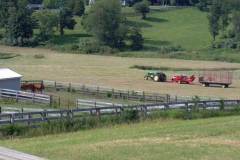 paddocks_and_hay_cart